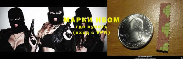 хмурый Карпинск