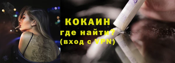 хмурый Карпинск