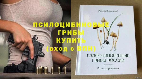 экстази Касимов