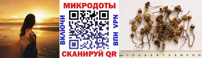 Купить  Жуковка  Псилоцибиновые грибы GOLDEN TEACHER 